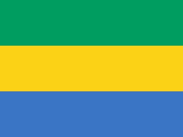 gabonese bandera
