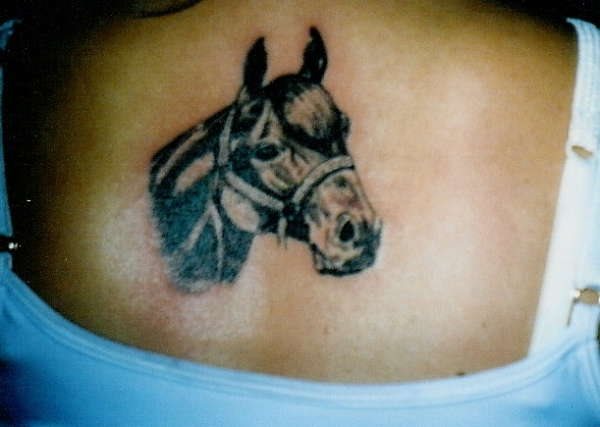 tatuaje caballo 508