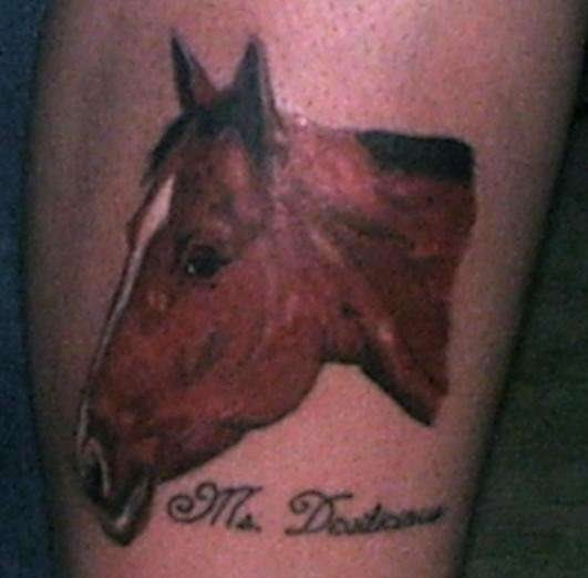tatuaje caballo 512