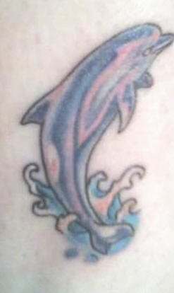 tatuaje delfin 502