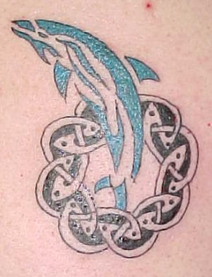 tatuaje delfin 536