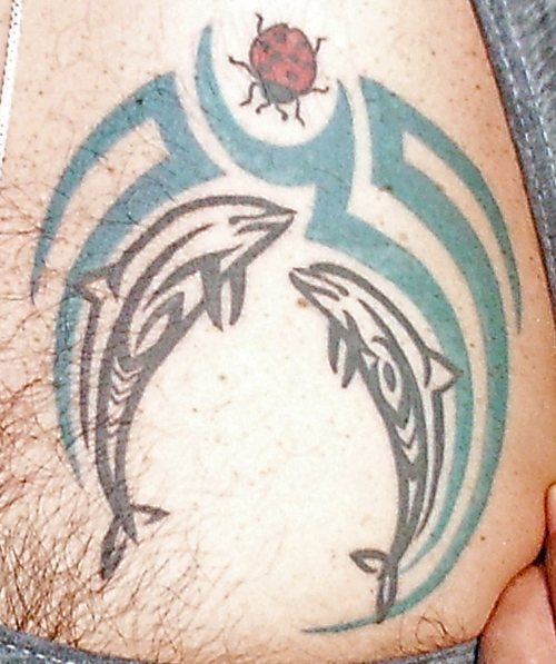 tatuaje delfin 544