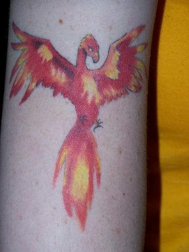 tatuaje fenix 1051