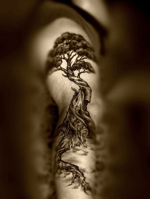 tatuaje arbol 31