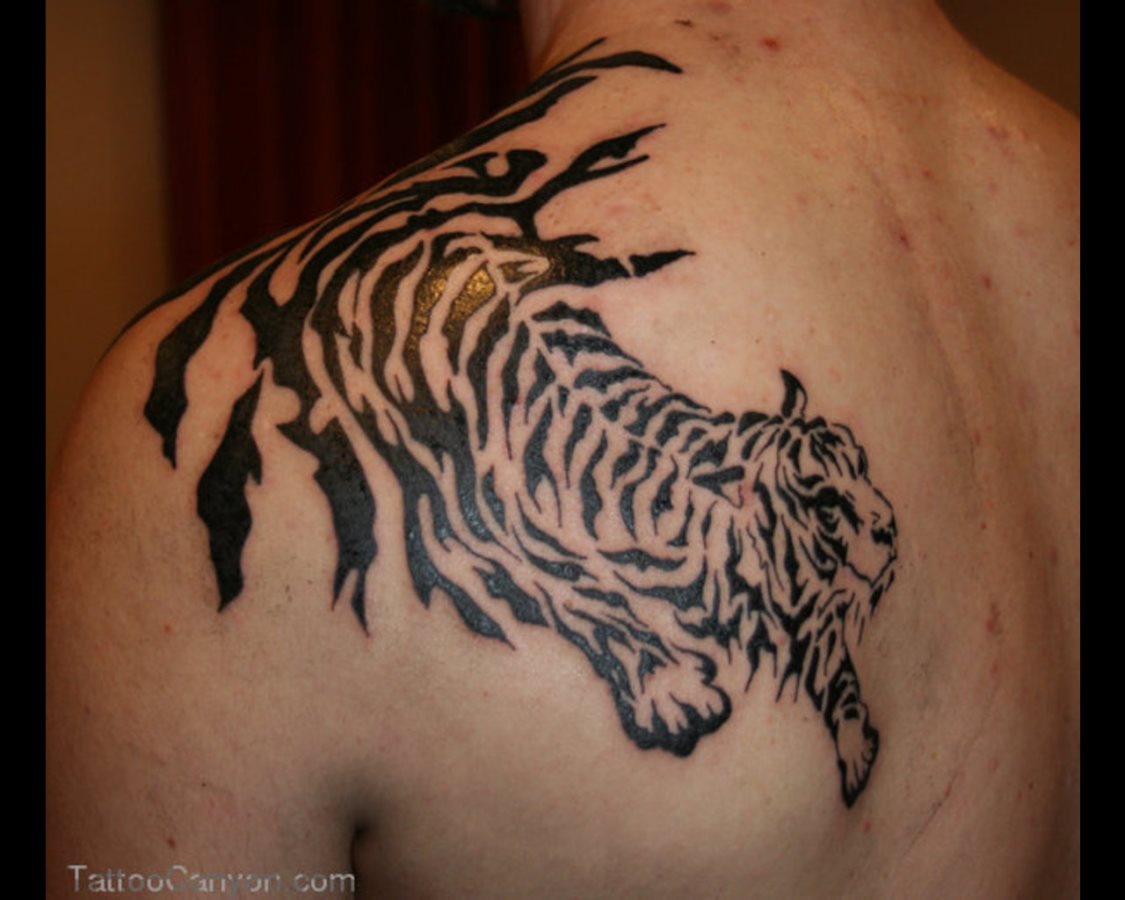 tatuaje tigre 07
