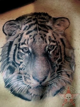 tatuaje tigre 11