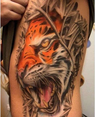 tatuaje tigre 13