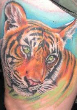 tatuaje tigre 18