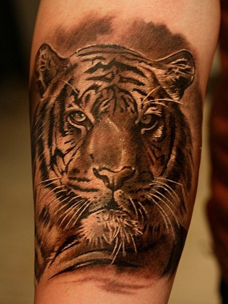 tatuaje tigre 22