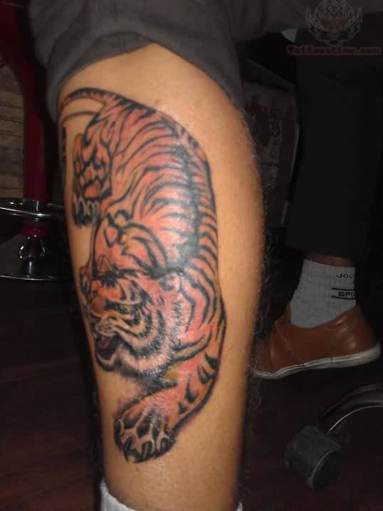tatuaje tigre 45