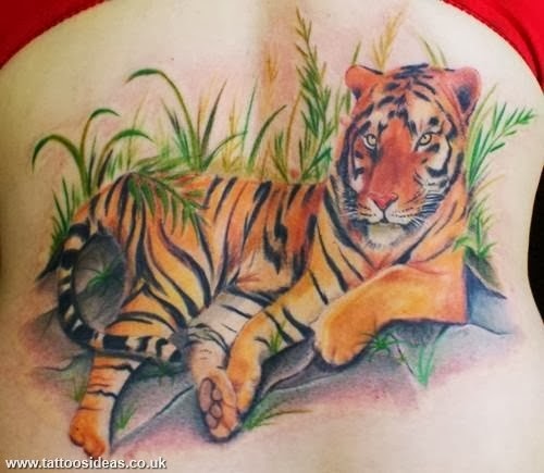 tatuaje tigre 57