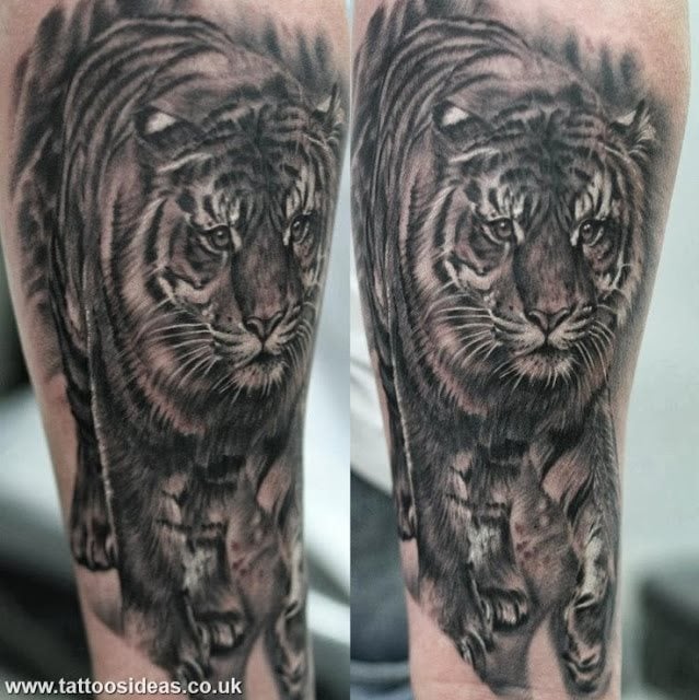 tatuaje tigre 60