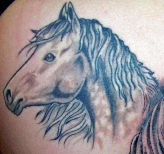 horse tattoo 1
