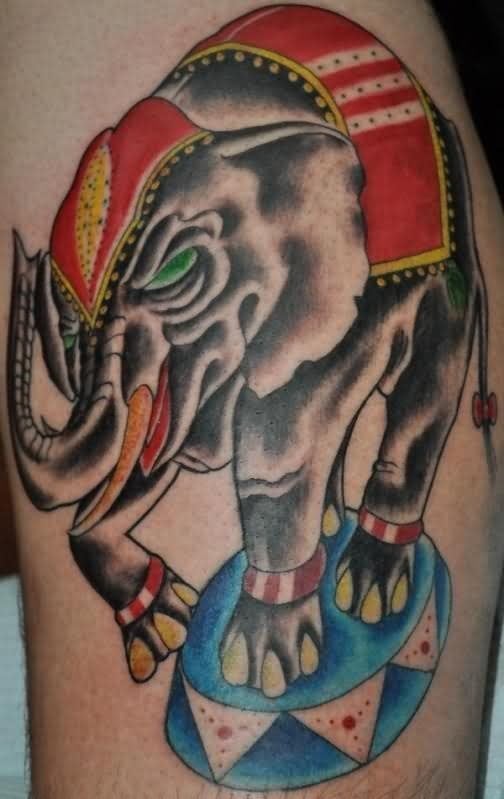 Elefante de circo con diferentes colores que contrastan entre s, aunque un elemento que evita que dirijamos la atencin a otras parte del diseo es el ojo verde que se ha tatuado, que sin duda tiene un resultado algo gotresco y que capta toda nuestra atencin, a mi parecer, un error