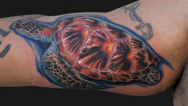 Gran diseo de una tortuga y el uso de tintas de colores le da un aspecto muy real