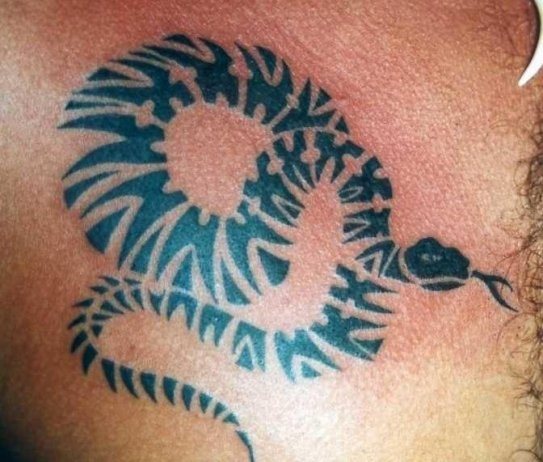 Tatuaje de una serpiente hecho de formas que parecen aztecas