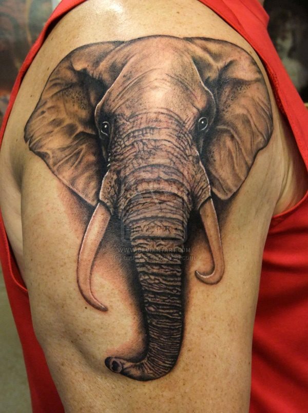 Imagen de la cabeza de un elefante en la zona del hombro