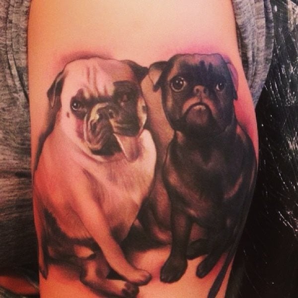 Estos dos perros han sido tatuados, una vez ms, de malas maneras