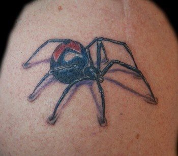 Tatuaje de una peculiar araña de cuerpo ancho y que ha sido confeccionada utilizando el negro y el rojo, dejando un espacio en blanco para el brillo, como podemos apreciar, se le ha dado un remate interesante al final de las patas para que den la sensación de movimiento sobre el cupoer de esta persona
