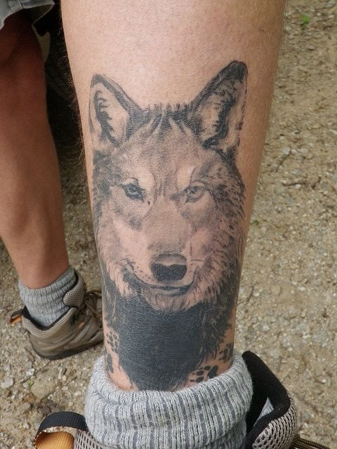 La cabeza de un lobo tatuada en el gemelo