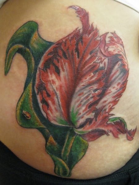 Diseo de una flor en tonos rojos y grises con hojas verdes, con algun detalle como es una mariquita