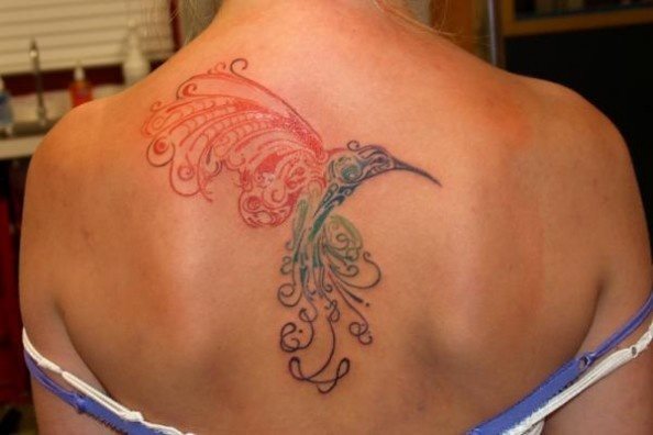 Definido colibrí en el que resalta el buen hacer del tatuador para conseguir unos trazos redondeados y unos colores que se van difuminando hasta cambiar a otro color y que le dan un aspecto muy agradable y alegre a este gran tatuaje, que a pesar de que nos gusta mucho creemos que se le podría tatuar algo más o rematar los colores para que ya alcanzase la perfección