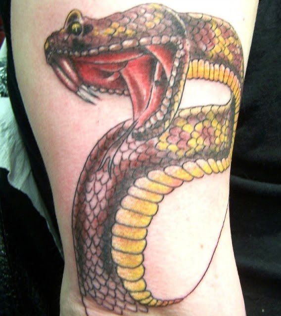Tatuaje de una serpiente a color que, como podemos observar, aún no está acabada pero que etamos convencidos que cuando se termine quedará un tatuaje genial y muy completo, ya que la silueta que podemos apreciar denotan un buen trabajo por parte del tatuador