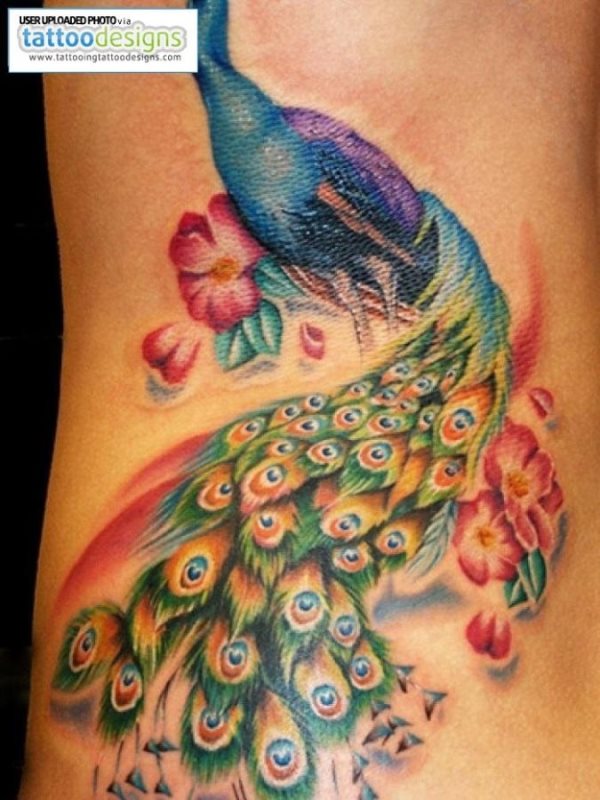 Diseo de un pavo real con diferentes tonalidades en colores azules, cverdes y rojos