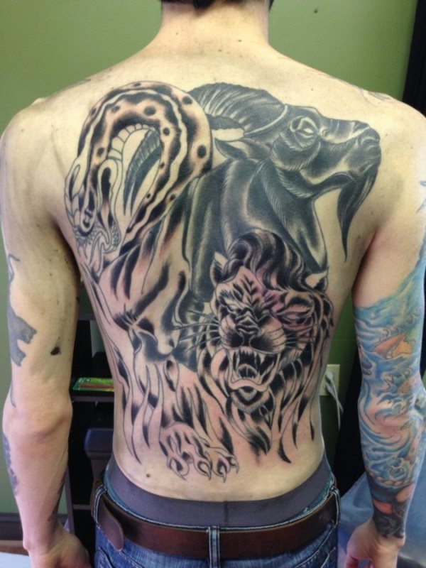 Tatuaje en toda la espalda de varios animales con cara de pocos amigos, por un lado tenemos una serpiente con la lengua afuera, un tigre que nos enseña los colmillso y una enorme cabra de cuernos grandes que mira hacia un lado