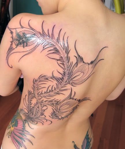 Tatuaje en la espalda de unas lindas ramas y hojas que, parecen tapar un viejo tatuaje que ya no se quiere mostrar y que seguro que cuando el nuevo esté terminado y relleno de colores vivos y alegres, quedarán geniales