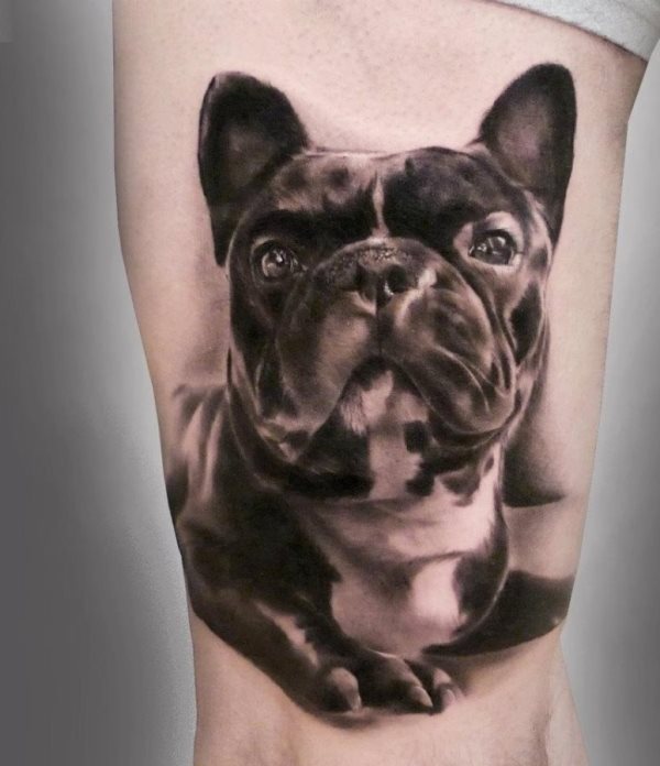 Este hombre se ha tatuado con gran definición y esmero a su bulldog francés en una posición relajada y una mirada profunda, un precioso perro y un magnífico animal de compañía, pero sobre todo uno de los mejores amigos que el hombre puede tener