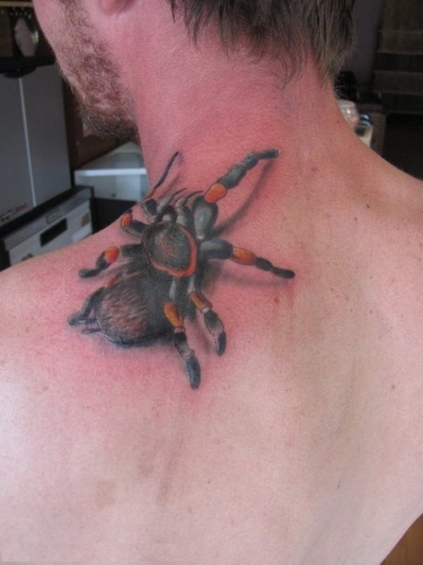 Un nuevo tatuaje de un arcnido que sube por la espalda hacia el cuello de este chico