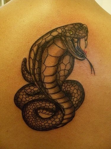 Simple diseo de una serpiente cobra en tonos y sombras negras