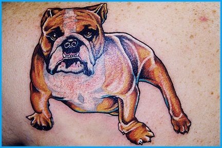 En esta ocasión nos encontramos ante un tatuaje de un bulldog inglés en el que prima lo bien conseguidas las características arrugas de este animal, un precioso perro que seguro ha dado muchos momentos de felicidad al portador de este tattoo