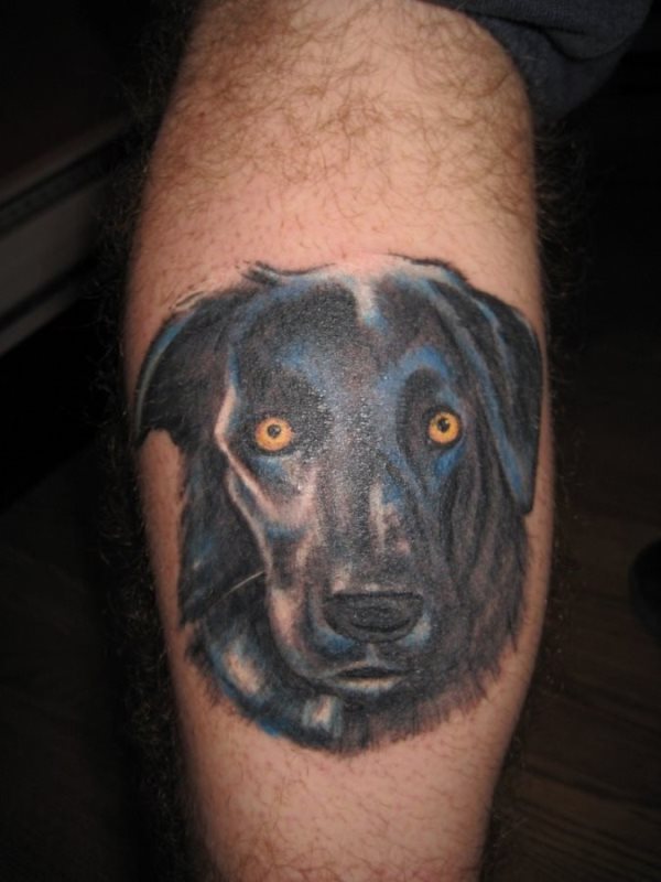 Tatuaje de un perro a color azul y negro con ojos amarillos, como podemos ver el perro tiene unas largas orejas agachadas y unos colores, tanto de ojos como de pelos, que no son reales, tal vez sea el perro soñado de este tatuado