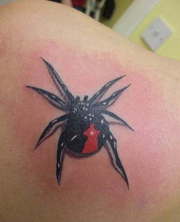 Si alguna vez soñaste con tatuarse una araña, estoy convencido que esta no era la idea que tenías, per bueno, siempre viene bien ver otros tipos de arañas que la gente ha decidido tatuarse, para así encontrar nosotros una idea o encontrar el tipo de tattoo que nunca nos haríamos
