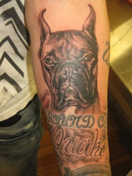 Tatuaje de un perro de la raza boxer con las orejas de punta y con unas palabras tatuadas bajo el tattoo del perro que, posiblemente, sea el nombre del perro