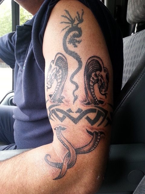 Tatuaje de dos serpientes cobras entre dibujos tribales, un tatuaje un tanto peculiar que no es de los que más nos gustan, además se nota que tiene ya algunos años aunque se ha retocado a posteriori
