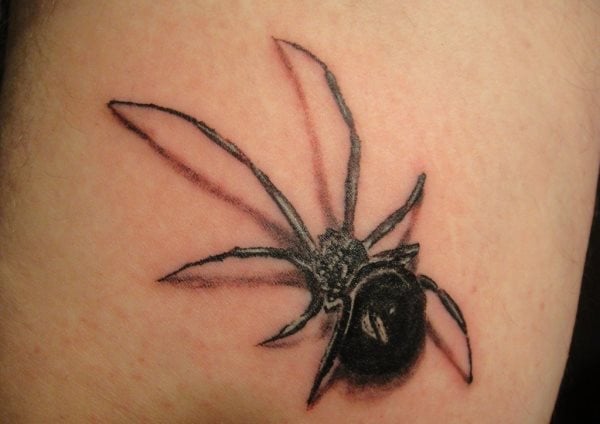Si quieres tatuarte una araña porque tenga un significado para ti, porque te gusten este tipo de insectos o simplemente porque te apetece, sin más, aquí tienes un ejemplo de la clásica araña a color negro y con un sombreado para que parezca más realista