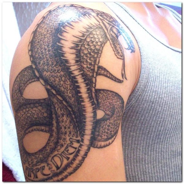 Gran serptiente cobra tatuada sobre el hombro, en la que se ha aprovechado el gran tamaño del hombro de este chico para tatuar una enorme cabeza de la serpiente, de la que destacamos el gran resultado coseguido con el sombreado de las escamas y las buenas vueltas que da la cola de la cobra