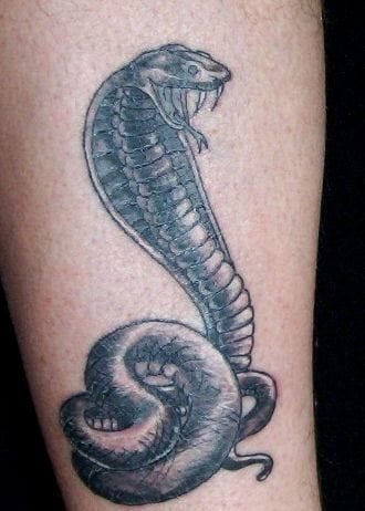 Tatuaje de serpiente cobra con unos trazos demasiado finos que provocan un resultado demasiado simple para este tatuaje, del que se le podría haber exprimido mucho más jugo, tal vez con trazos algo más gruesos, con colores o añadiéndole otros dibujos alrededor del tattoo de serpiente
