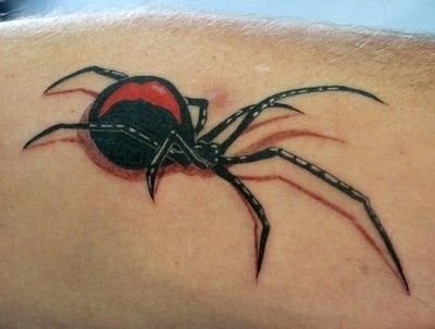 No sé si de pequeño veías mucho Spiderman o si te decantaste por estudiar acerca de los insectos, pero si nada de ello te ha inspirado, pero aún así sigues queriéndote tatuar una araña, aquí te dejamos otro ejemplo para que vayas terminando tu idea y te animes a tatuarte o a volver a tatuarte