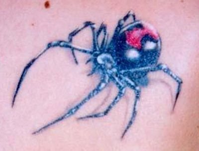 Tatuaje del diseño de una araña que aunque tiene buena forma, creemos que debería repasarse un poco más para perfeccionar los colores y sobre todo, para perfilar la sobre que le da el aspecto real, una sombra apenas imperceptible y que se irá con el paso de los años si no se actúa rápido