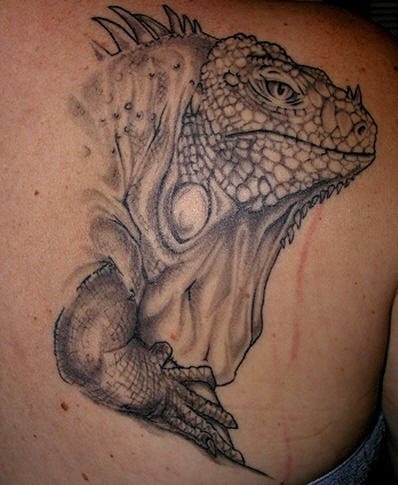 Tatuaje de cabeza de camaleón bastante realista y con una mirada muy profunda, a este tatuaje le da un gran realismo las arrugas de la piel del reptil, pero tal vez a pesar de que el sombreado está muy bien conseguido, las líneas han quedado demasiado finas, a pesar de nuestra humilde crítica con vuestro permiso, creemos que ha quedado un tatuaje bastante bueno