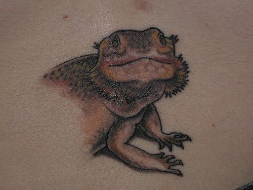 Tattoo de cabeza de camaleón bastante simpático del que se han conseguido unos buenos colores, nos gustan los colores porque son colores muy disimulados ue parecen fundirse por todo el cuerpo del camaleón