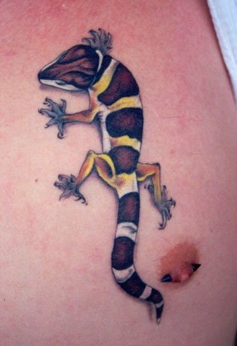 Tatuaje de un bonito camaleón del que se hace bello gracias a los colores y las manchas del camaleón, en esta fotografía de tatuajes no podemos pasar sin mencionar el piercing que este chico lleva sobre su pezón, un piercing original y que sólo mirándolo nos duele bastante pensar que estuviera en los nuestros