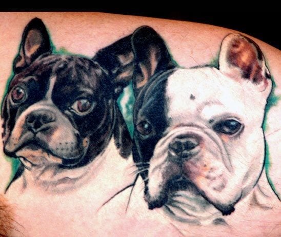 Tatuaje de dos bull dog francés, uno con la cabeza entera negra a excepción del hocico y el cuerpo planco, el otro perro bulldog ha sido tatuado a color entero blanco y con un parche negro en el ojo