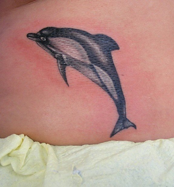 El tatuador de este delfn ha intentado tatuar un delfn que pareciese real y lo ha conseguido
