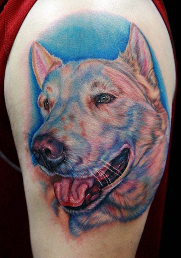 Tatuaje de un perro en el brazo coloreado en tonos marrones claros y sombreado en azul, al igual que el fondo del perro que se ha tatuado en azul también, ya que si se hubiera dejado sin ese fondo, la propia piel del tatuado dificultaría ver los detalles del animal tatuado