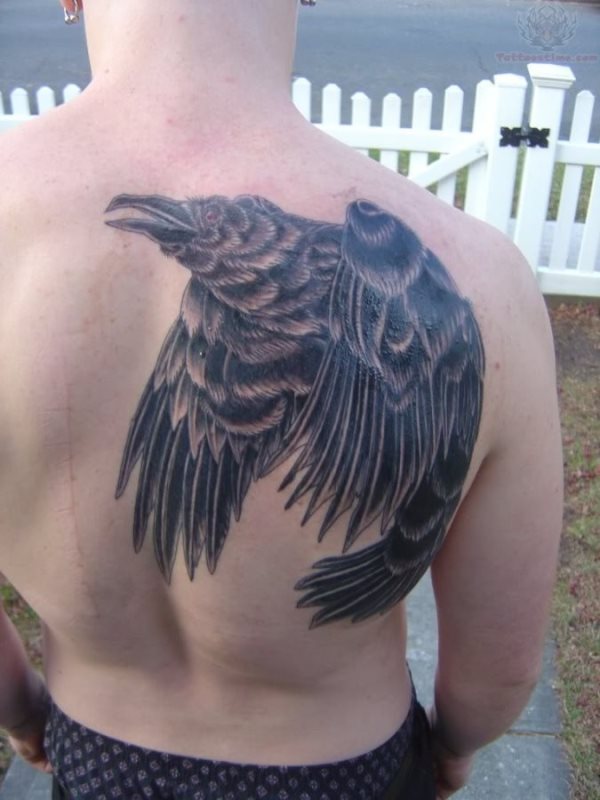 Cuervo negro sobre la espalda